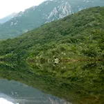 A L'oree Du Maquis 6 Personnes Vila