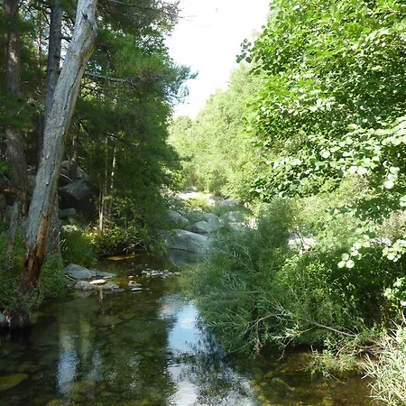 Villa A L'oree Du Maquis 6 Personnes