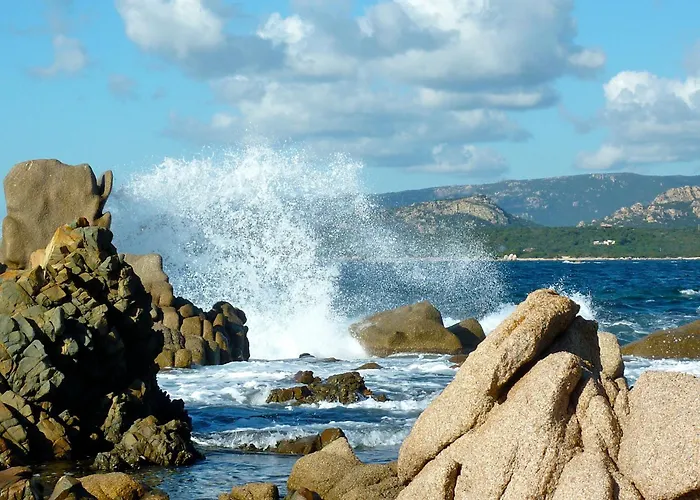 Villa A L'oree Du Maquis 6 Personnes