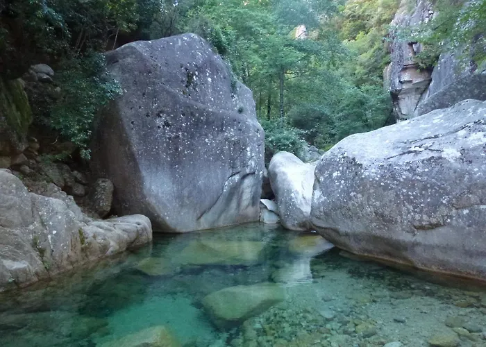 Villa A L'oree Du Maquis 6 Personnes *