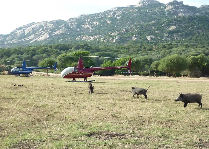 A L'oree Du Maquis 6 Personnes