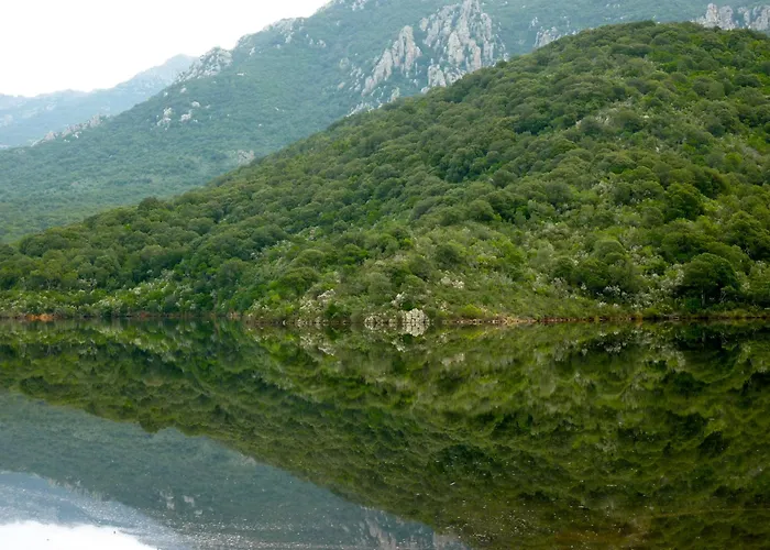 A L'oree Du Maquis 6 Personnes Villa