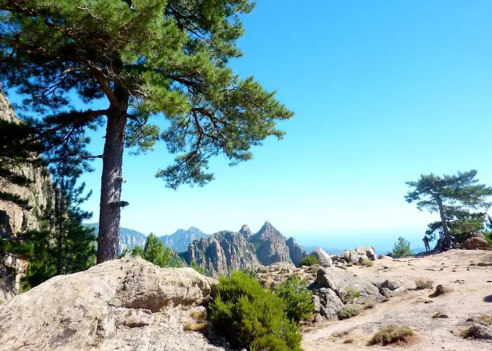 Vila A L'oree Du Maquis 6 Personnes