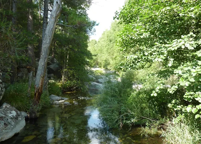 Vila A L'oree Du Maquis 6 Personnes